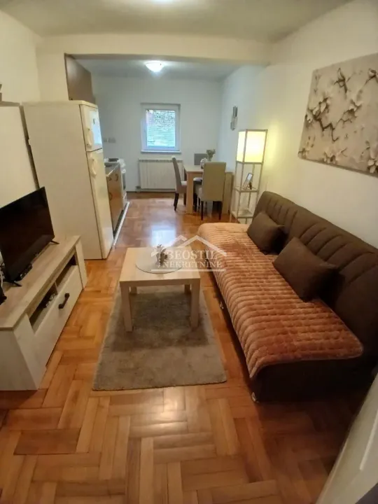 Izdavanje, jednosoban stan, 47m², Višnjica, Palilula Sve Podlokacije