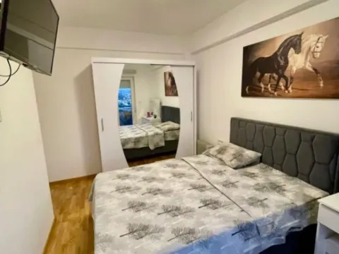 Izdavanje, dvosoban stan, 75m², Zabjelo, Podgorica - image 3