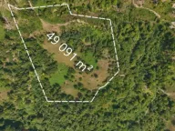 Prodaja, plac, 49091m², Izlasci, Kolašin - image 15