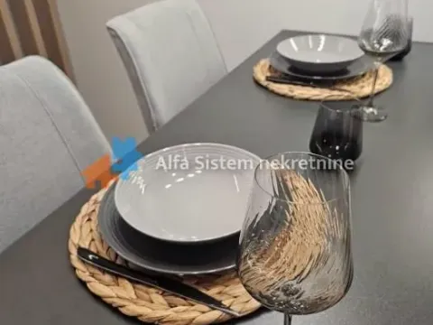 Izdavanje, jednosoban stan, 40m², Novi Beograd Blok 65, Novi Beograd Sve Podlokacije - image 9