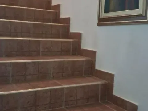 Prodaja, poslovni prostor, 400m², Zemun Sve Podlokacije, Beograd - image 14