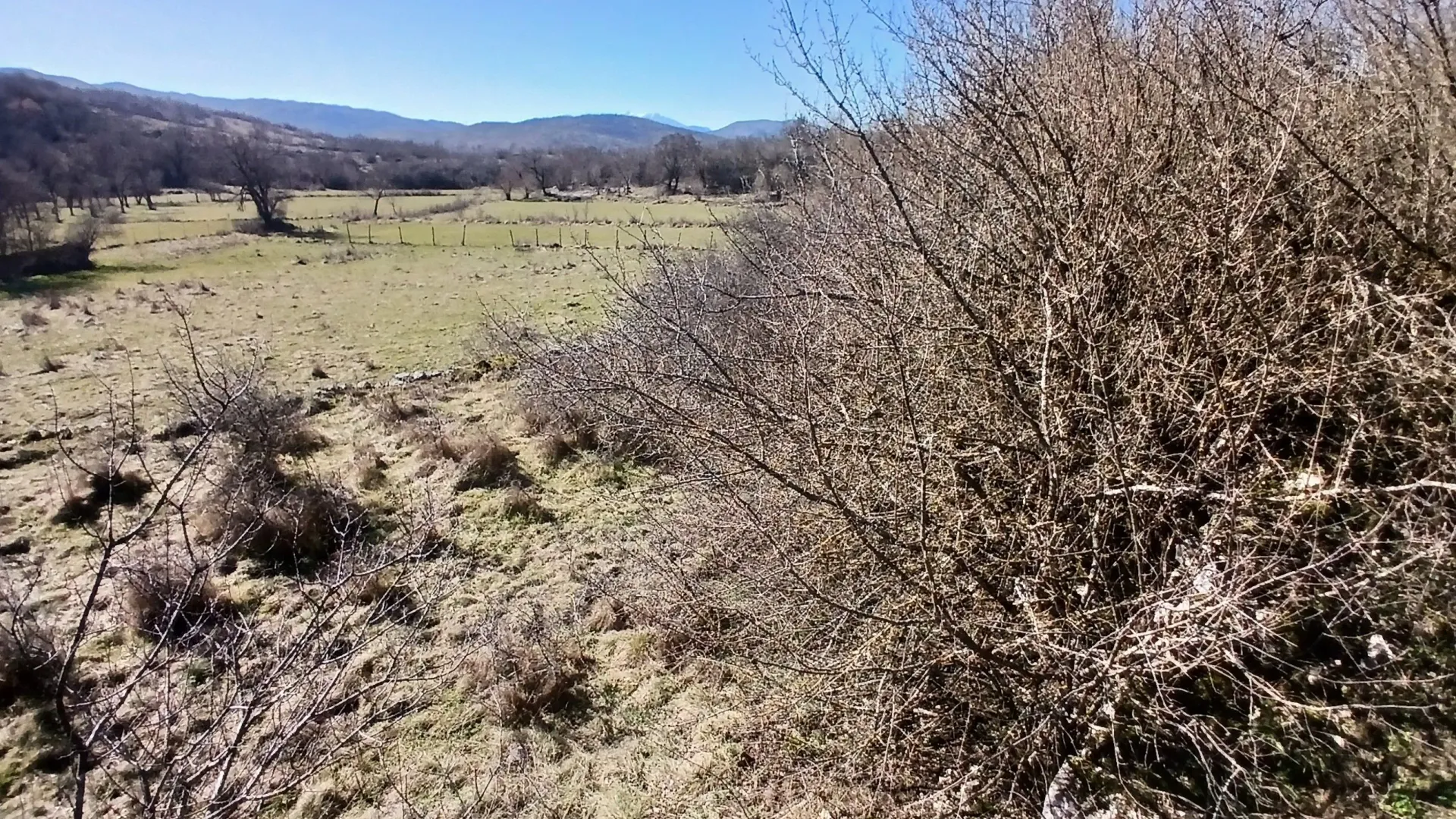 Prodaja, plac, 6256m², Čevo, Cetinje