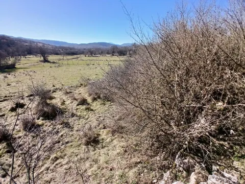 Prodaja, plac, 6256m², Čevo, Cetinje - image 10