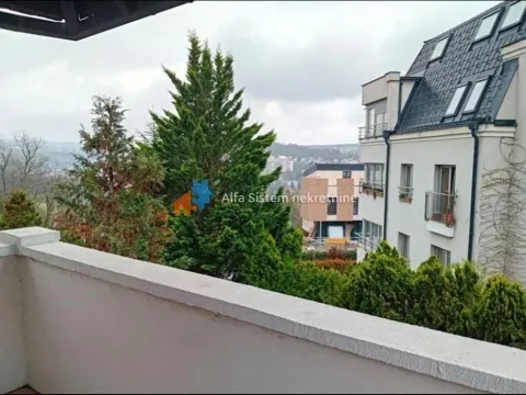 Izdavanje, kuća, 330m², Savski Venac, Beograd - image 19