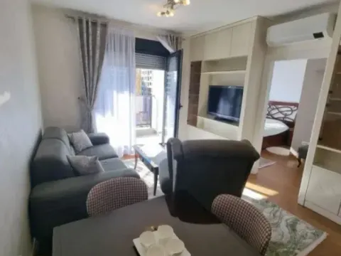 Izdavanje, jednosoban stan, 50m², Tološka šuma, Podgorica - image 7