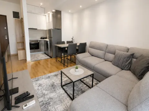 Rent, one bedroom apartment, 39m², Stari Aerodrom, Podgorica - image 2