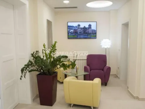 Izdavanje, poslovni prostor, 590m², Vračar Sve Podlokacije, Beograd - image 2