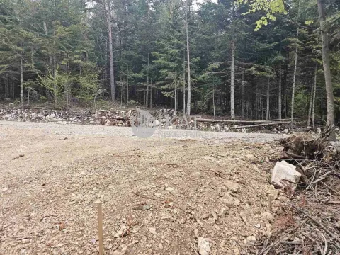 Sale, land lot, 500m², Tara, Srbija - image 8