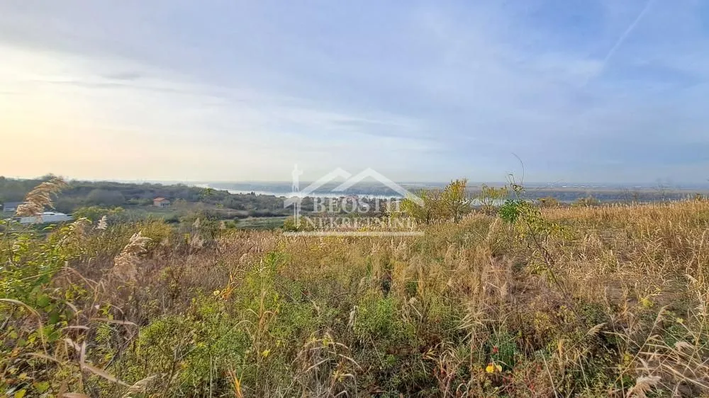 Prodaja, plac, 3000m², Višnjica, Palilula Sve Podlokacije