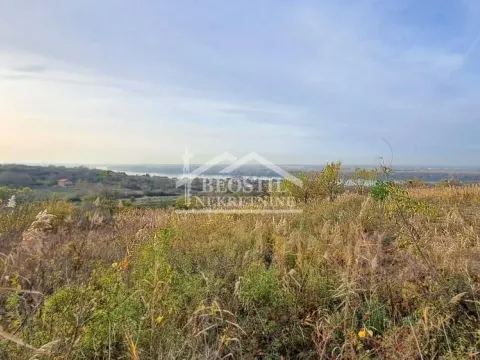 Prodaja, plac, 3000m², Višnjica, Palilula Sve Podlokacije - image 3