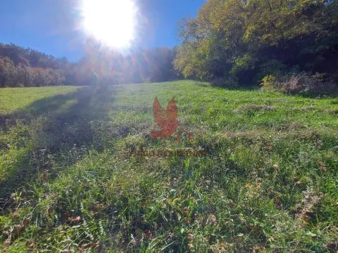 Sale, land lot, 5700m², Arandjelovac, Srbija - image 8