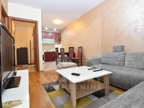 Izdavanje, jednosoban stan, 40m², Pobrežje, Podgorica - image 2