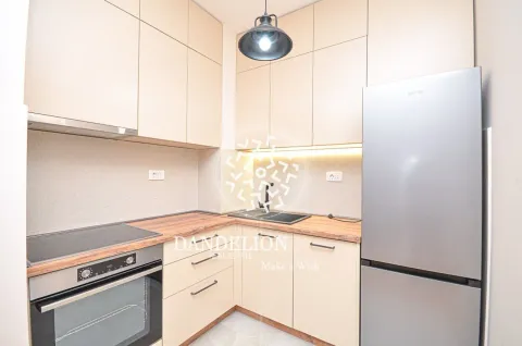 Rent, one bedroom apartment, 59m², Central Point, Podgorica - image 694