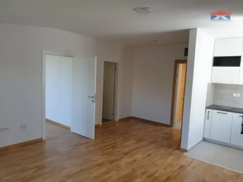 Izdavanje, dvosoban stan, 42m², Telep, Novi Sad Sve Podlokacije - image 2