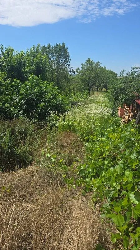 Prodaja, kuća, 70m², Krčedin, Inđija