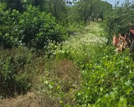 Prodaja, kuća, 70m², Krčedin, Inđija - image 4