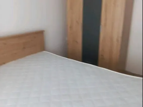 Izdavanje, jednosoban stan, 45m², Petrovaradin, Novi Sad - image 3