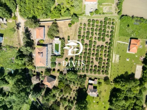 Sale, house, 200m², Mala Ivanča, Sopot - image 8