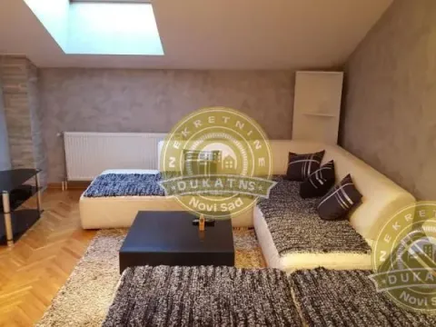 Sale, two bedroom apartment, 46m², Salajka, Novi Sad Sve Podlokacije - image 3