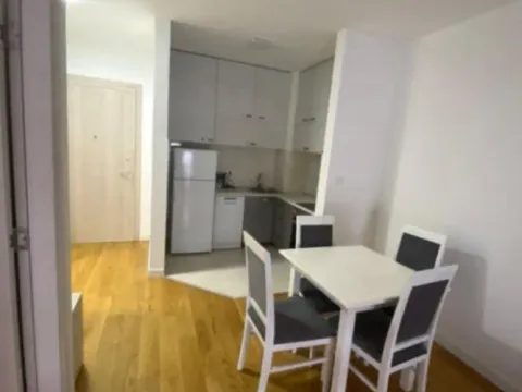 Izdavanje, jednosoban stan, 45m², Central Point, Podgorica - image 9