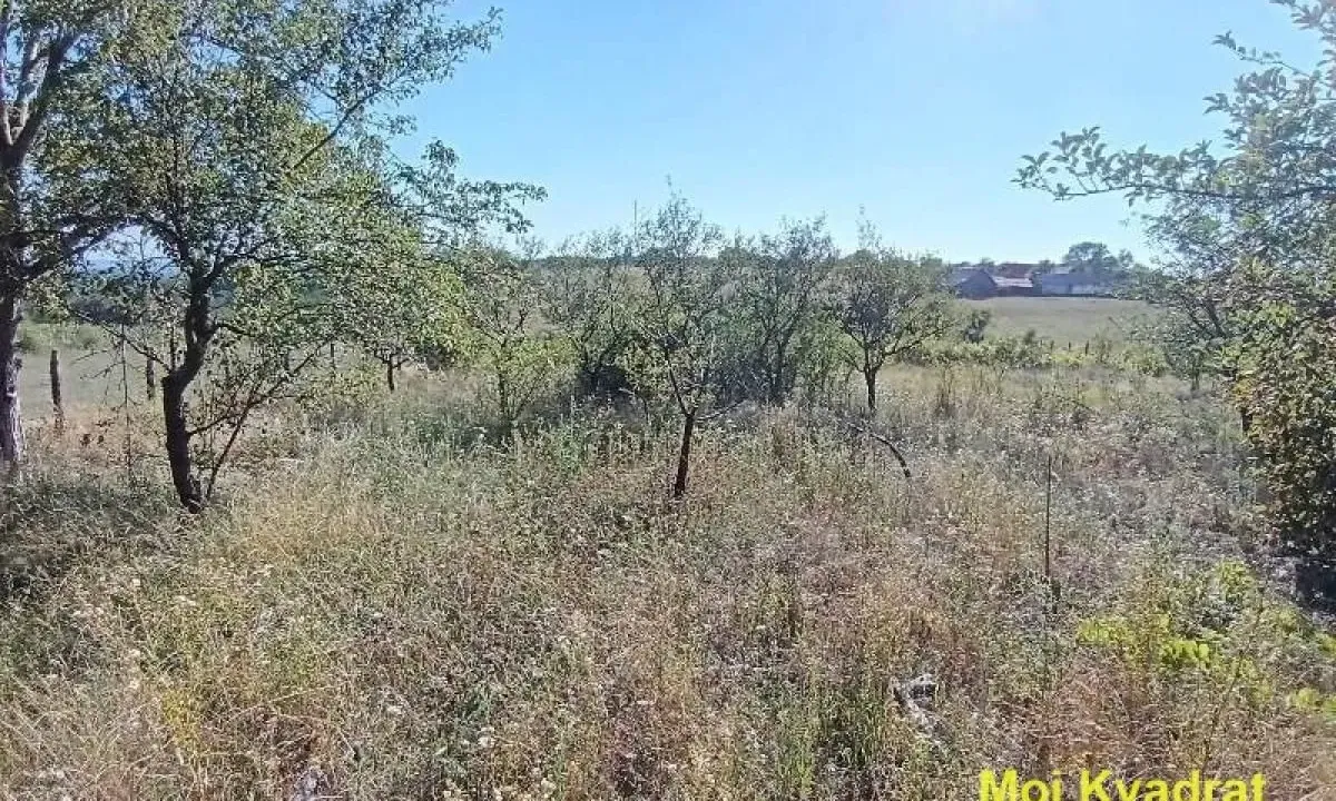 Sale, land lot, 3900m², Sopot, Beograd