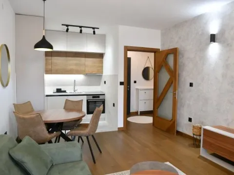Rent, one bedroom apartment, 46m², Ljubović, Podgorica - image 2