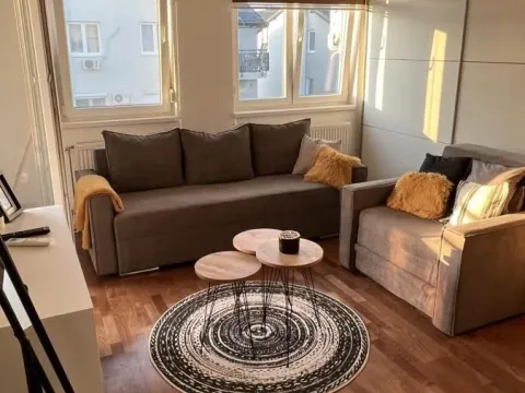Rent, studio apartment, 30m², Adice, Novi Sad Sve Podlokacije - image 8