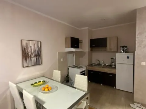 Izdavanje, jednosoban stan, 43m², Maslinjak, Budva - image 4
