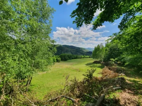 Sale, land lot, 44000m², Rasadnik, Bijelo Polje - image 7