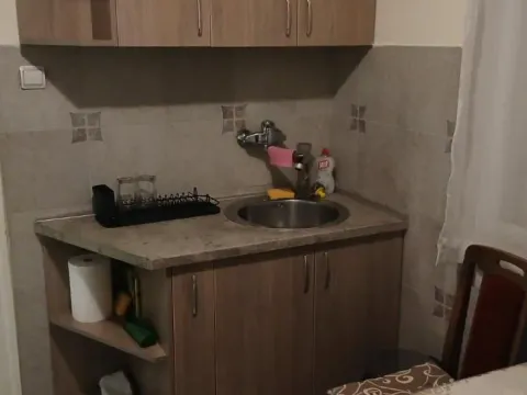 Izdavanje, jednosoban stan, 46m², Neimar, Vračar Sve Podlokacije - image 3