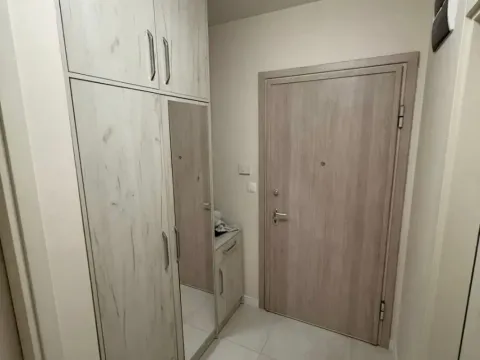 Izdavanje, jednosoban stan, 52m², Central Point, Podgorica - image 11