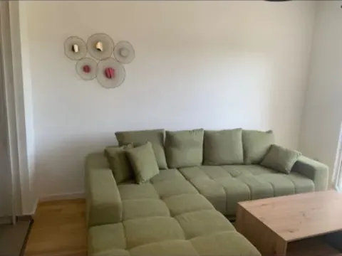 Izdavanje, jednosoban stan, 42m², Centar, Podgorica - image 3