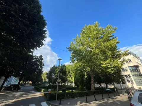 Izdavanje, poslovni prostor, 12m², Podgorica, Crna Gora - image 2