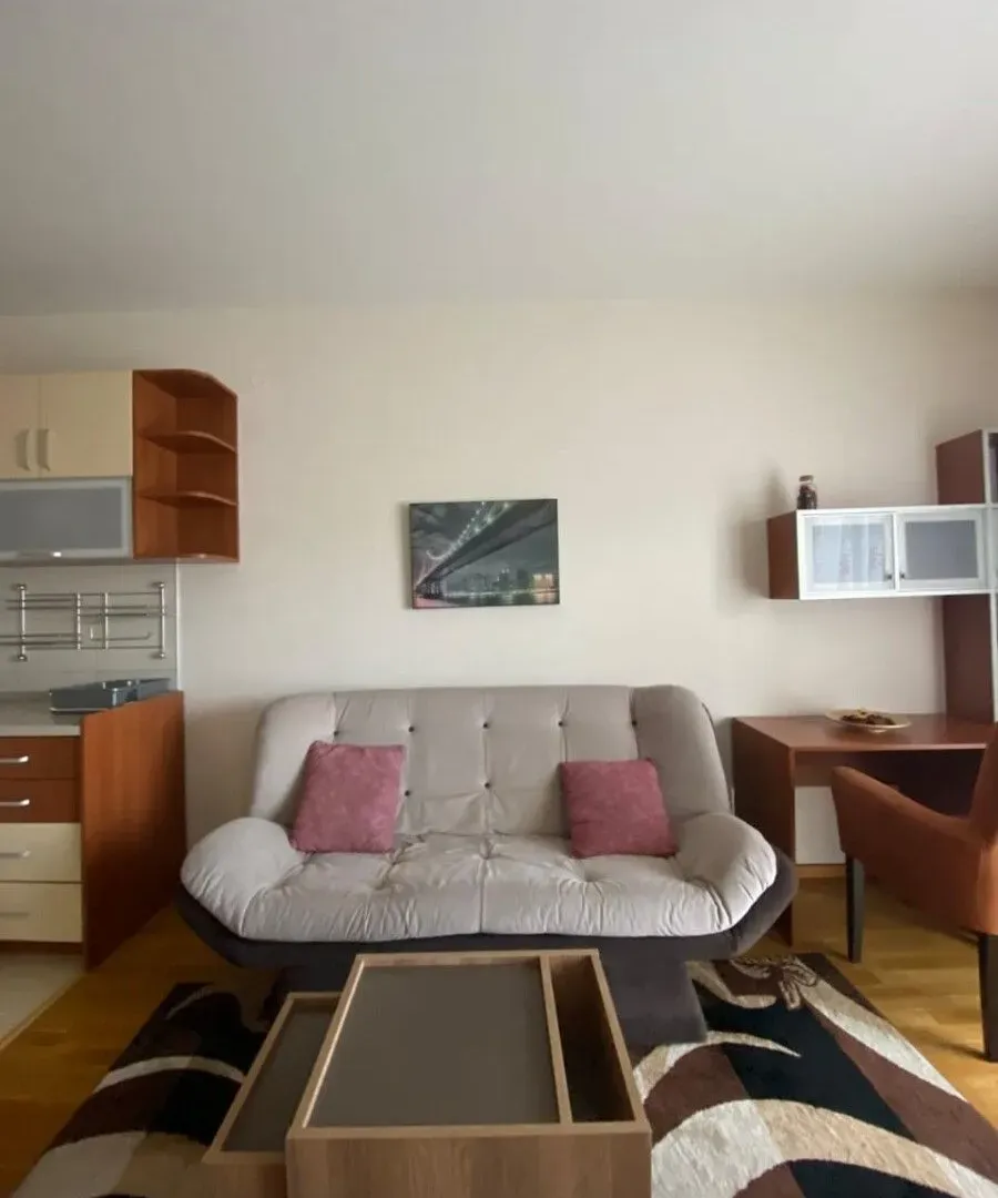Izdavanje, jednosoban stan, 30m², City Kvart, Podgorica