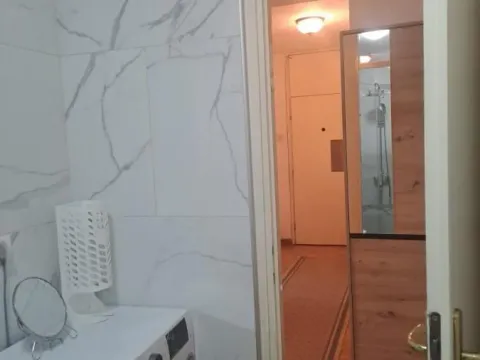 Izdavanje, jednosoban stan, 55m², Bulevar Oslobodjenja, Novi Sad Sve Podlokacije - image 2