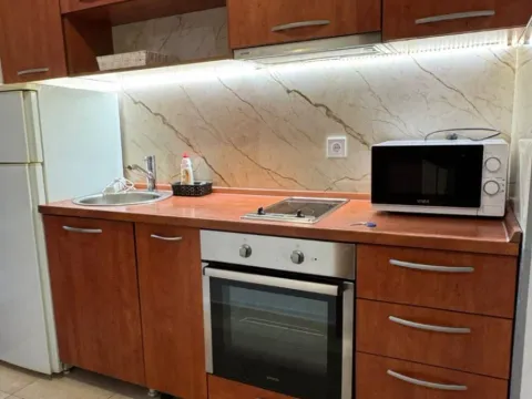 Izdavanje, jednosoban stan, 30m², Rozino, Budva - image 2