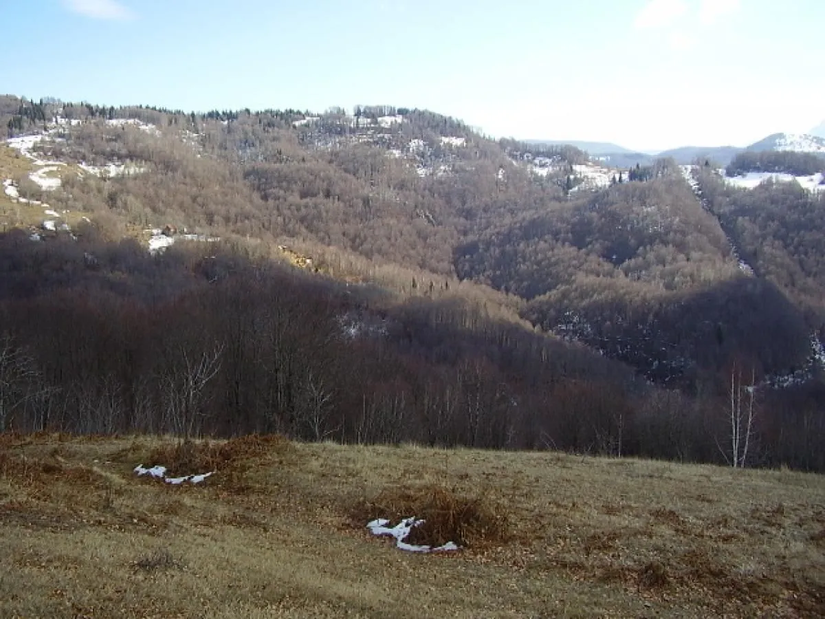 Prodaja, plac, 130000m², Kolašin, Crna Gora