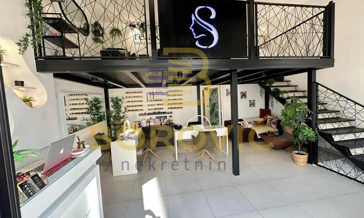 Rent, office space, 60m², Višnjička Banja, Palilula Sve Podlokacije