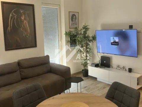 Izdavanje, jednosoban stan, 40m², Petrovaradin, Novi Sad - image 2