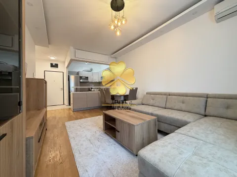 Rent, one bedroom apartment, 50m², Stari Aerodrom, Podgorica - image 2