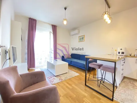 Rent, one bedroom apartment, 36m², Stari Aerodrom, Podgorica - image 1