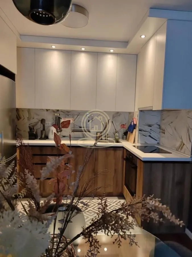 Rent, two bedroom apartment, 47m², Višnjička Banja, Palilula Sve Podlokacije