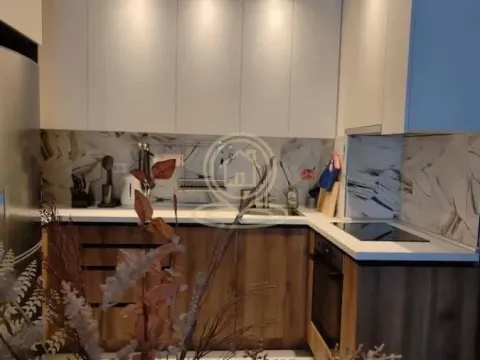 Rent, two bedroom apartment, 47m², Višnjička Banja, Palilula Sve Podlokacije - image 9