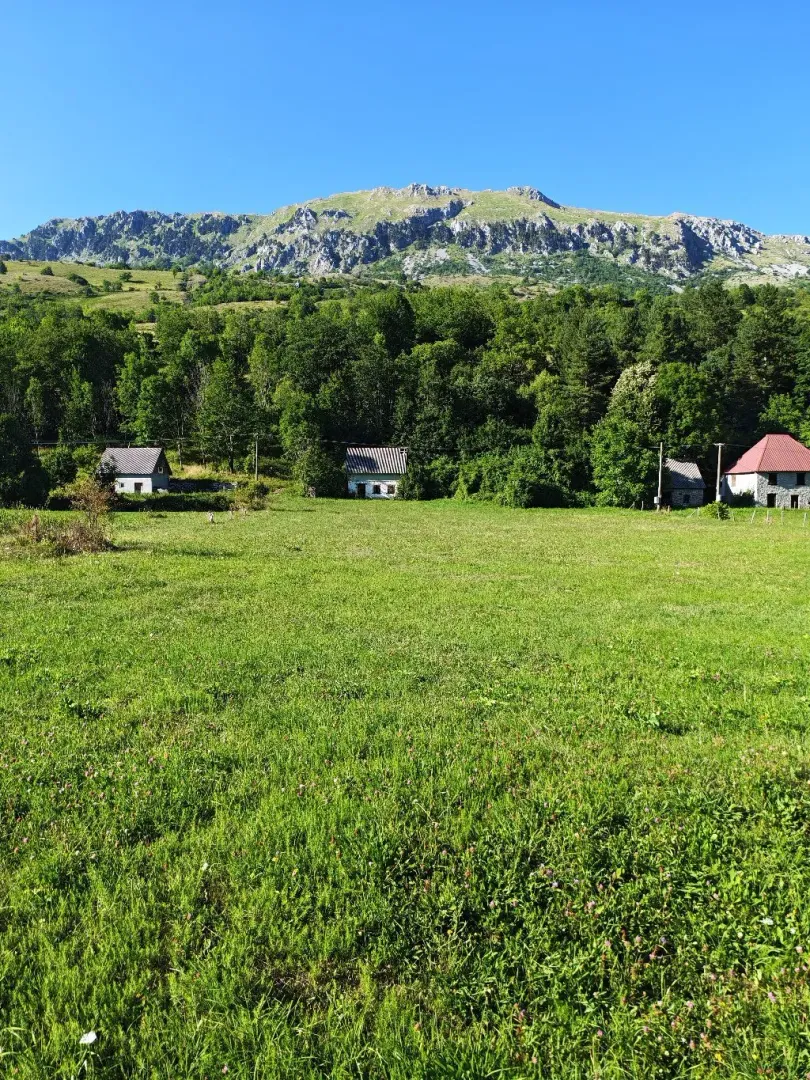 Prodaja, plac, 5071m², Gornje Lipovo, Kolašin