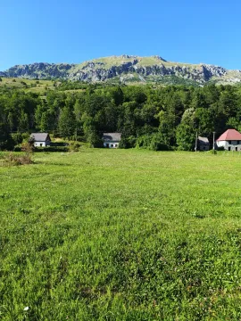 Prodaja, plac, 5071m², Gornje Lipovo, Kolašin - image 2