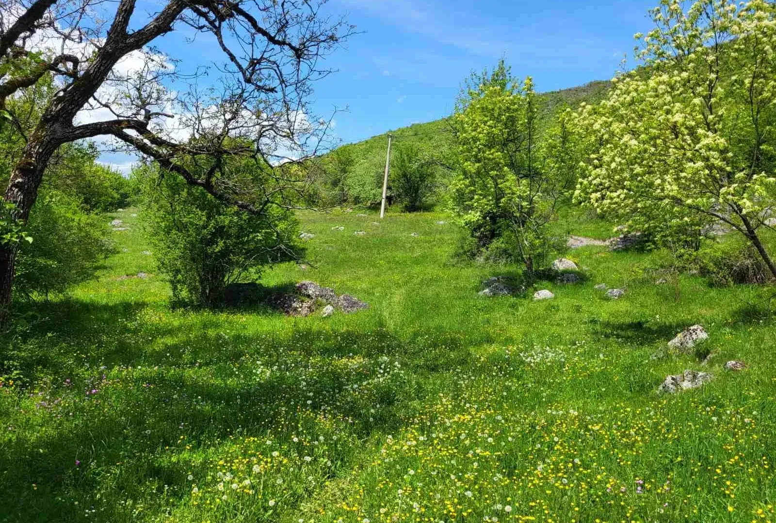 Prodaja, plac, 160000m², Nikšić, Crna Gora