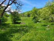 Sale, land lot, 160000m², Nikšić, Crna Gora - image 3