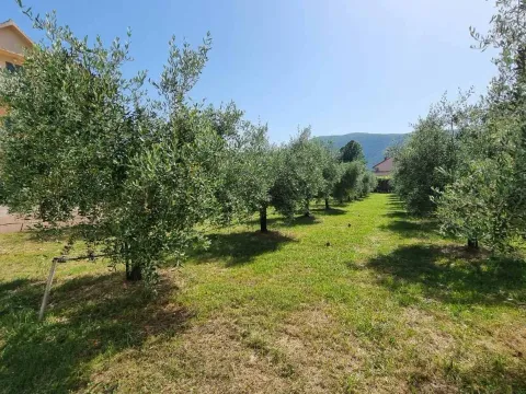 Izdavanje, kuća, 75m², Lastva Grbaljska, Kotor - image 19