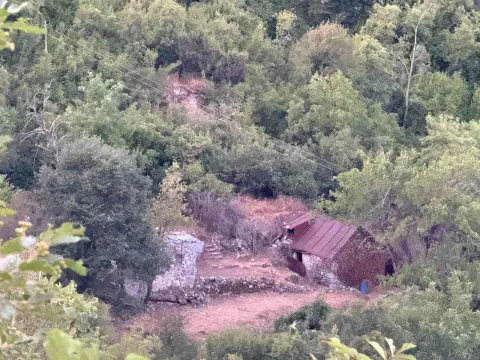 Prodaja, plac, 10001m², Dobrsko Selo, Cetinje - image 6