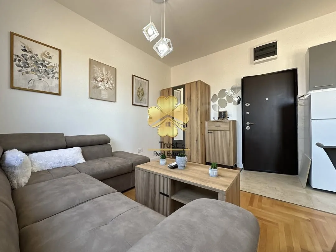 Rent, studio apartment, 30m², Zabjelo, Podgorica